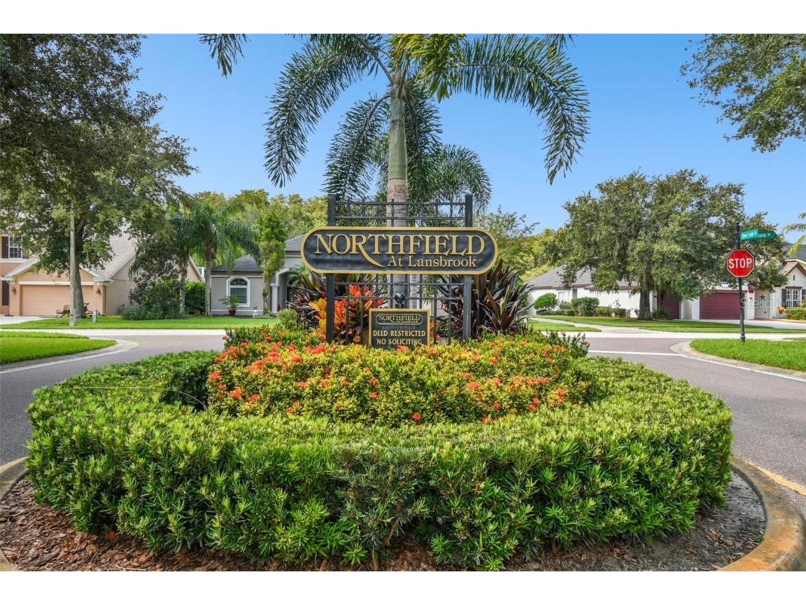 3025 Naughton Way Tarpon Springs FL 34688 TB8404534 image5