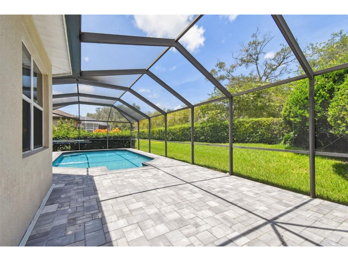 3025 Naughton Way Tarpon Springs FL 34688 TB8404534 image65