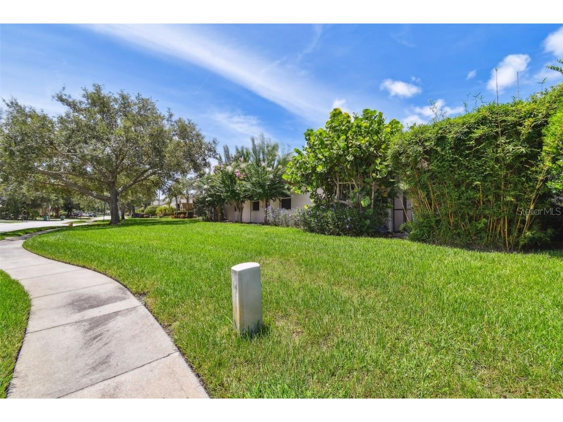 3025 Naughton Way Tarpon Springs FL 34688 TB8404534 image69