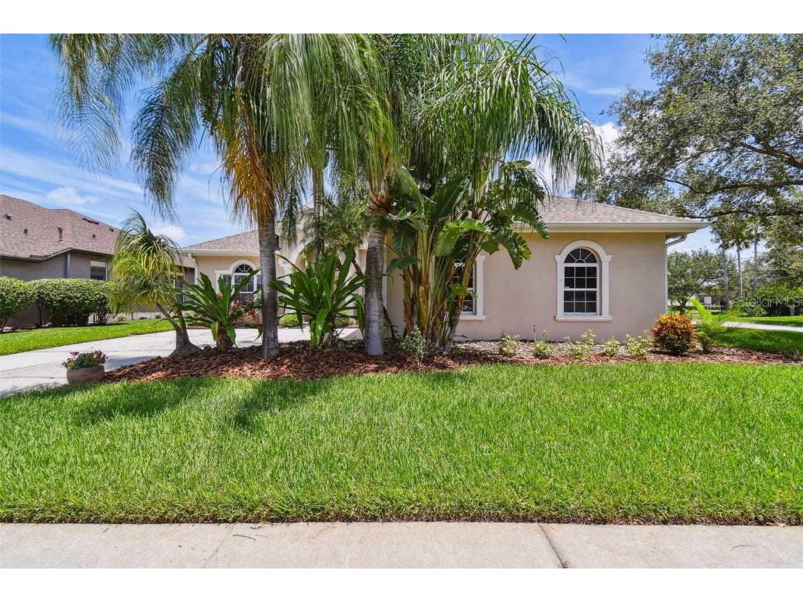 3025 Naughton Way Tarpon Springs FL 34688 TB8404534 image7