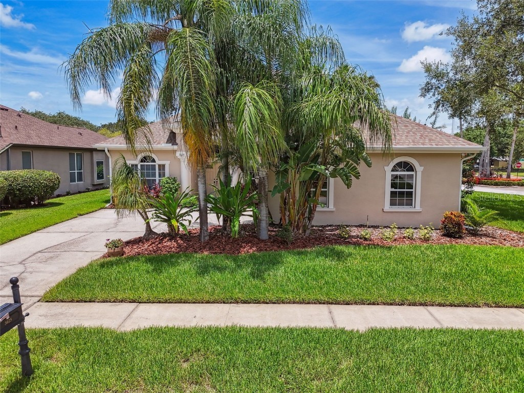 3025 Naughton Way Tarpon Springs FL 34688 TB8404534 image70