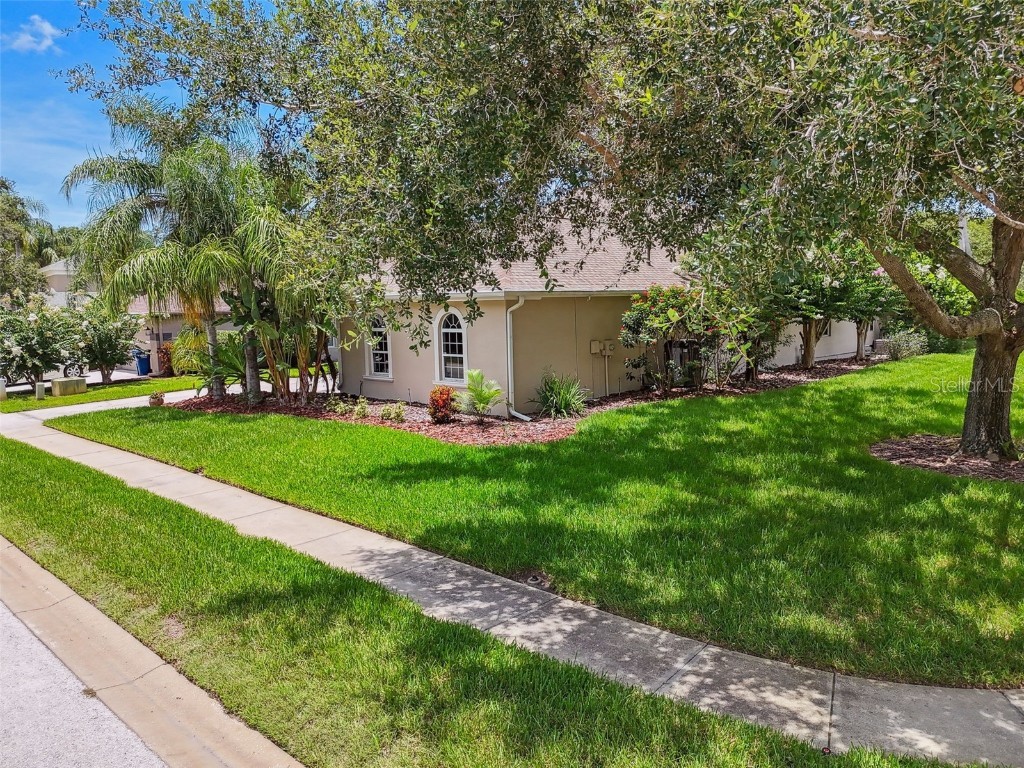3025 Naughton Way Tarpon Springs FL 34688 TB8404534 image71