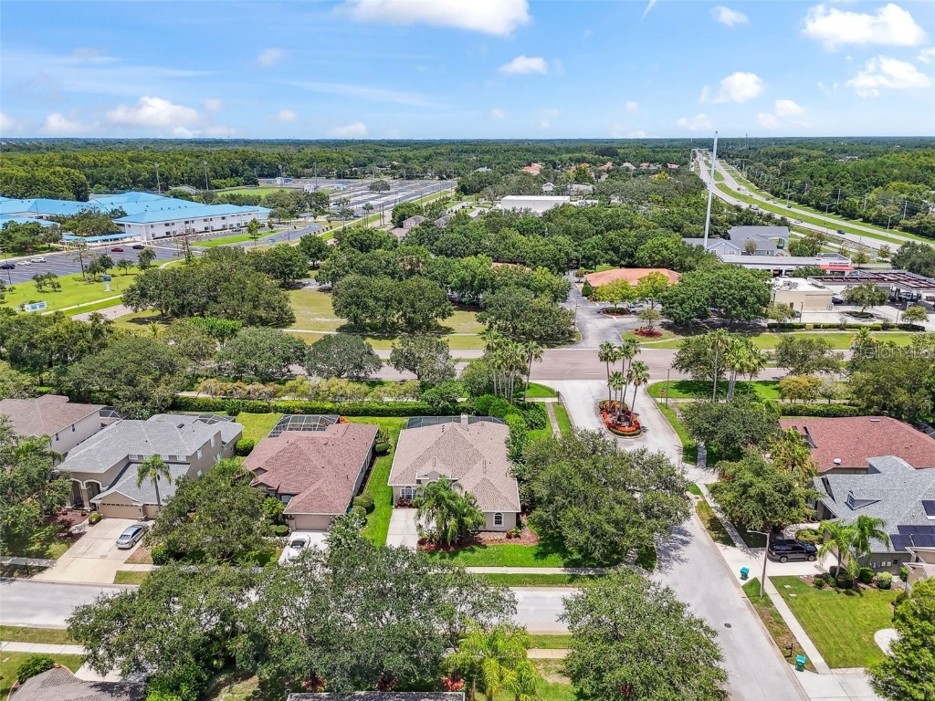 3025 Naughton Way Tarpon Springs FL 34688 TB8404534 image74