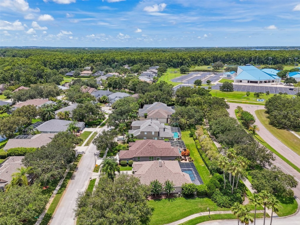 3025 Naughton Way Tarpon Springs FL 34688 TB8404534 image75