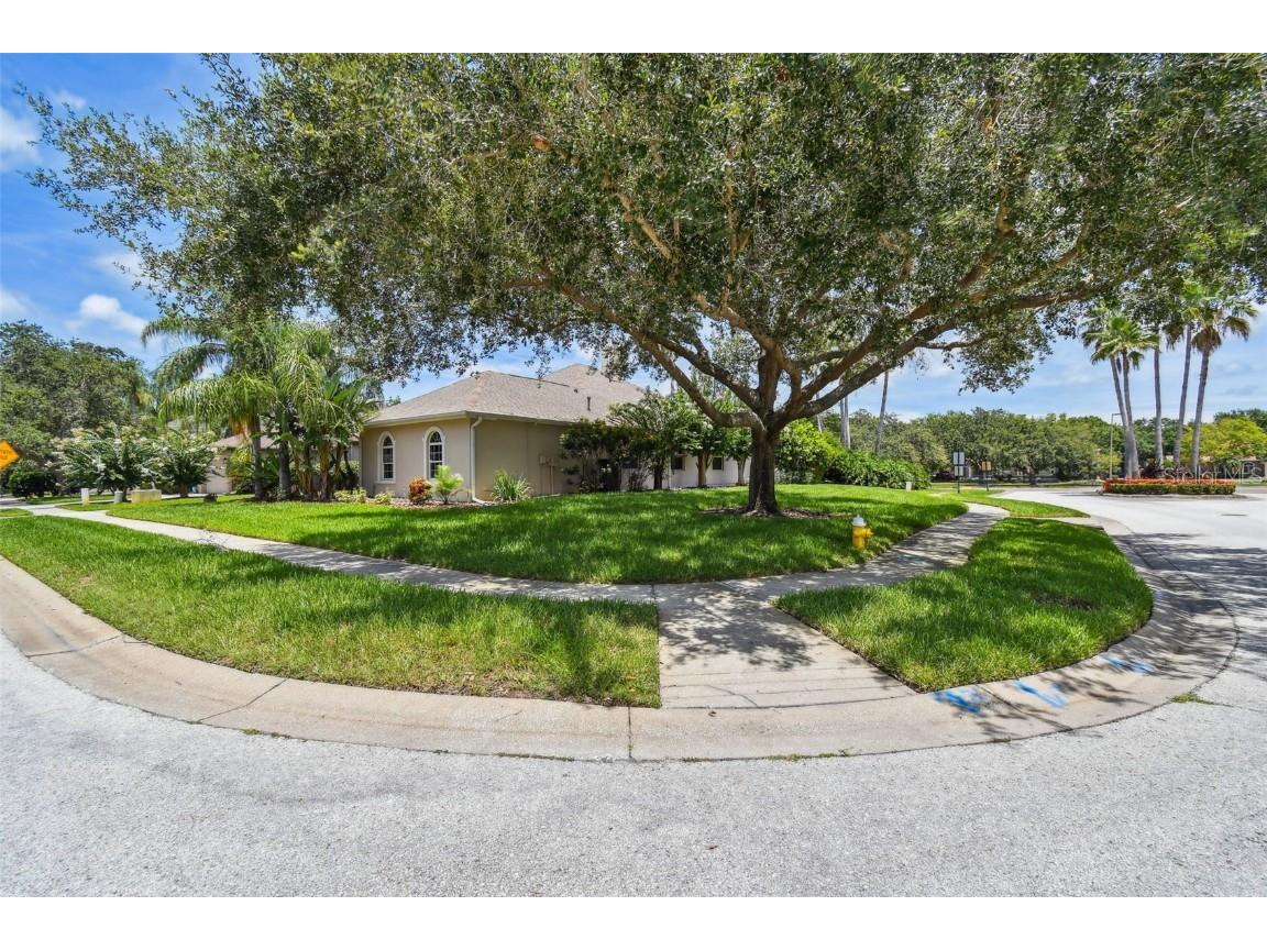 3025 Naughton Way Tarpon Springs FL 34688 TB8404534 image9