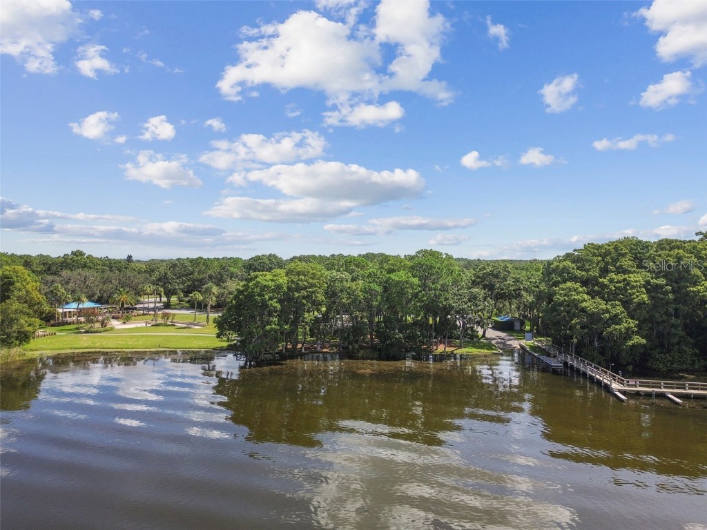 3025 Naughton Way Tarpon Springs FL 34688 TB8404534 image91