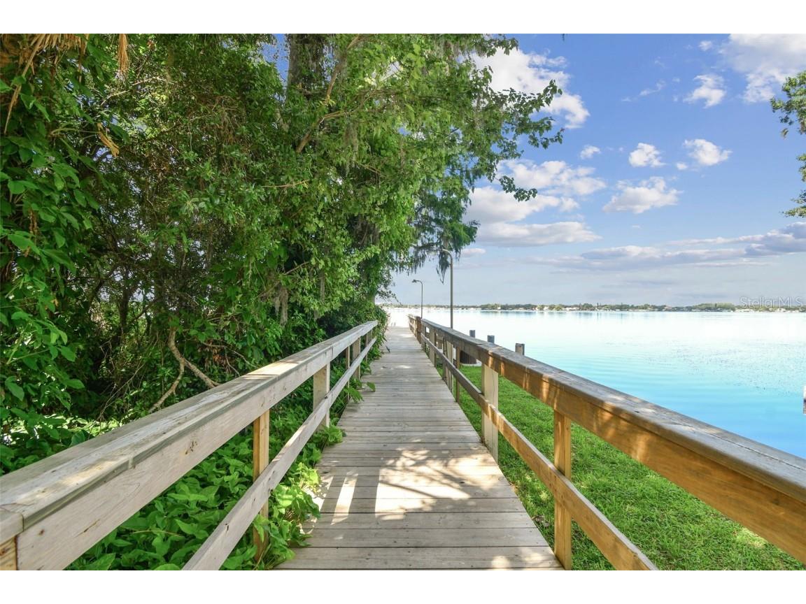3025 Naughton Way Tarpon Springs FL 34688 TB8404534 image92