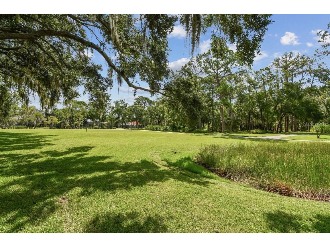 3025 Naughton Way Tarpon Springs FL 34688 TB8404534 image97