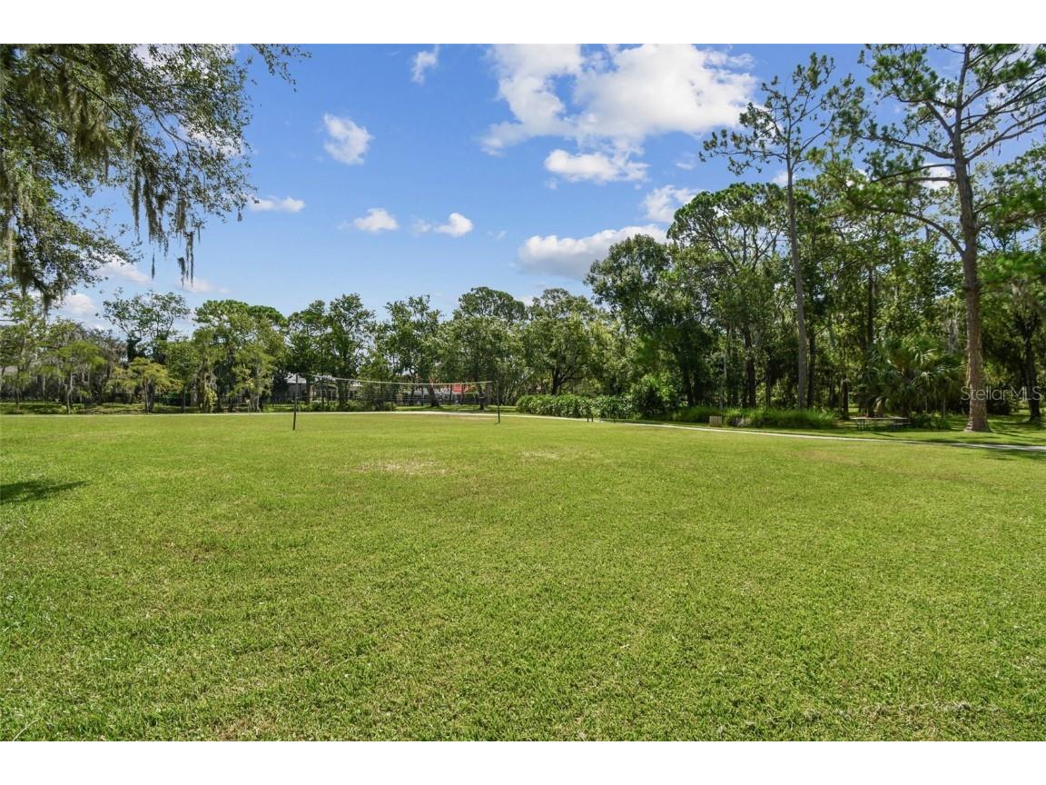 3025 Naughton Way Tarpon Springs FL 34688 TB8404534 image99