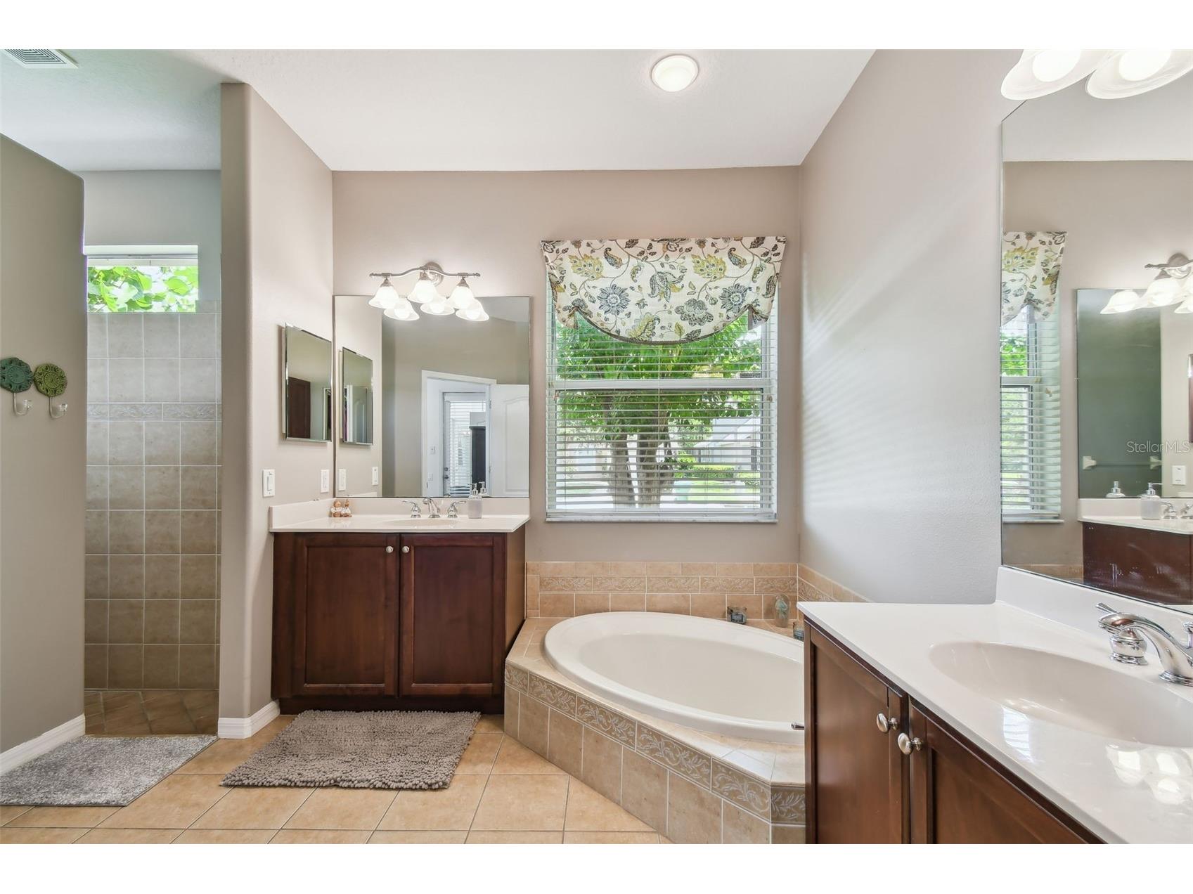 3025 Naughton Way Tarpon Springs FL 34688 TB8491830 image40
