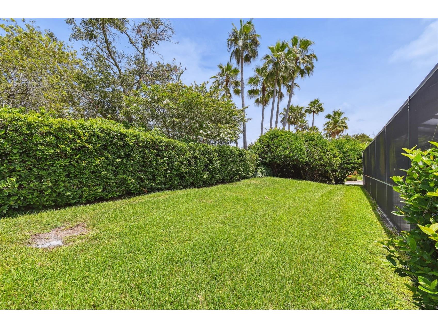 3025 Naughton Way Tarpon Springs FL 34688 TB8491830 image69