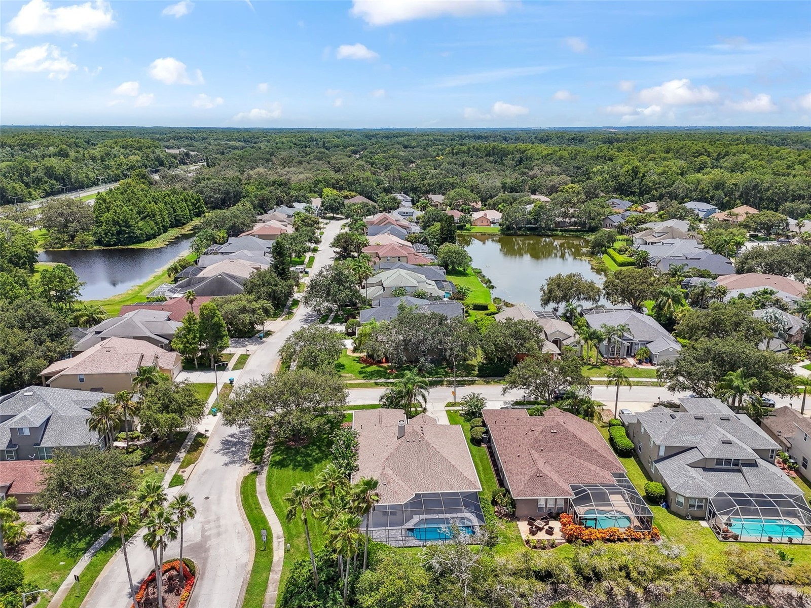 3025 Naughton Way Tarpon Springs FL 34688 TB8491830 image75