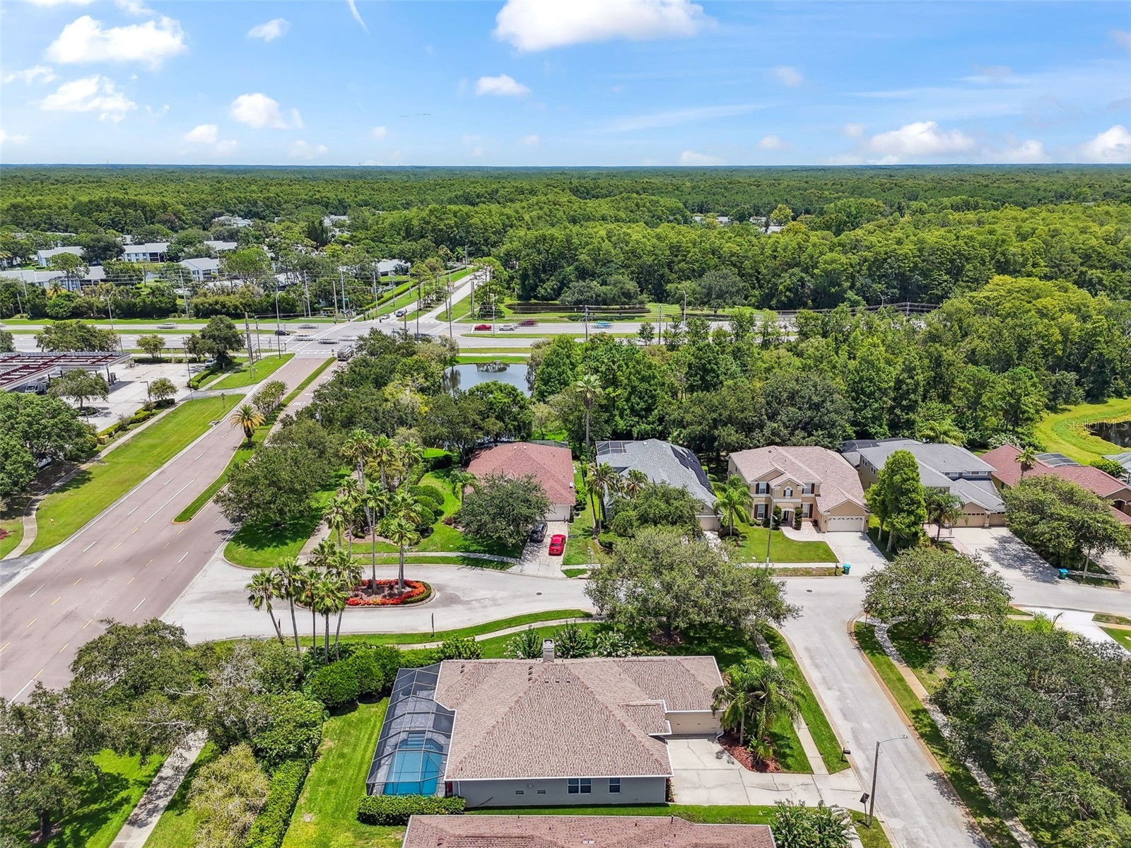 3025 Naughton Way Tarpon Springs FL 34688 TB8491830 image76