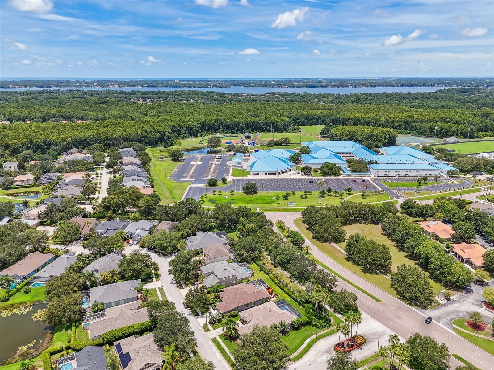 3025 Naughton Way Tarpon Springs FL 34688 TB8491830 image78