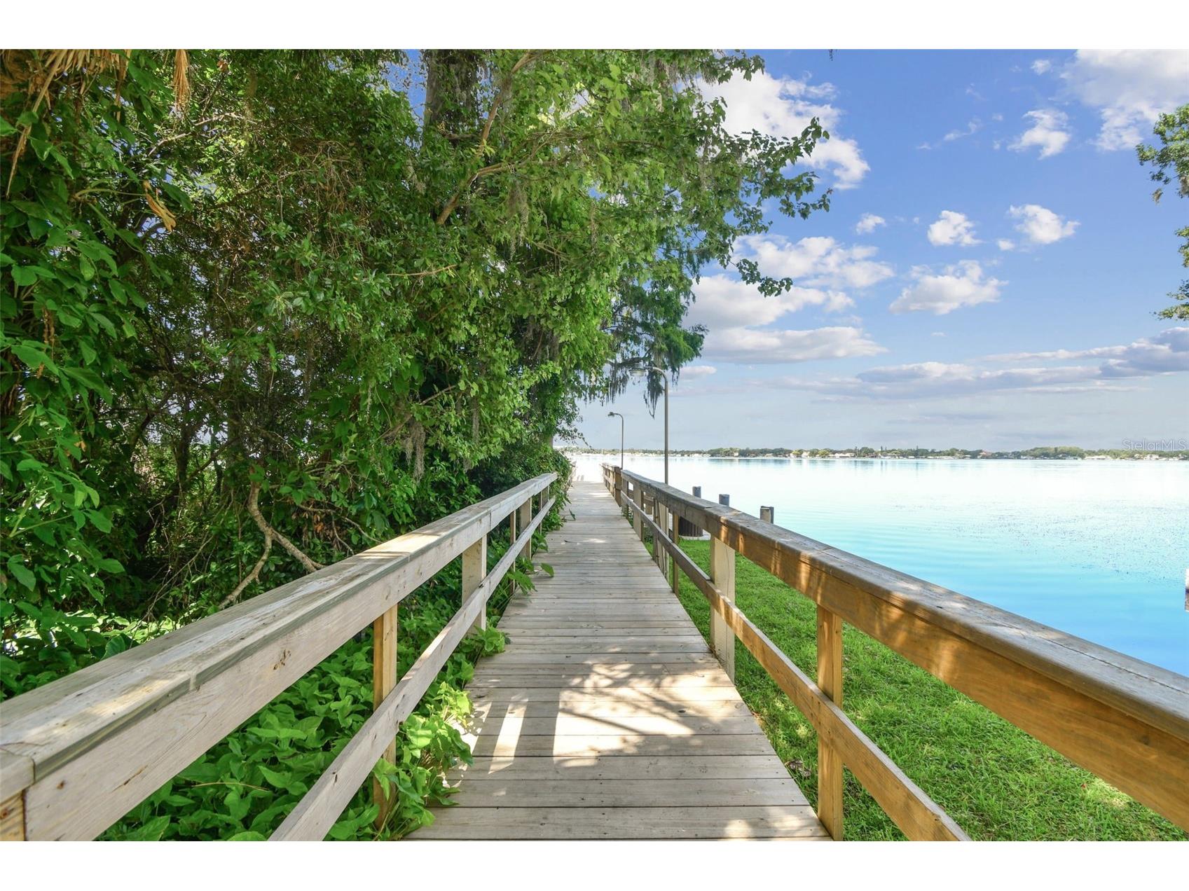 3025 Naughton Way Tarpon Springs FL 34688 TB8491830 image91
