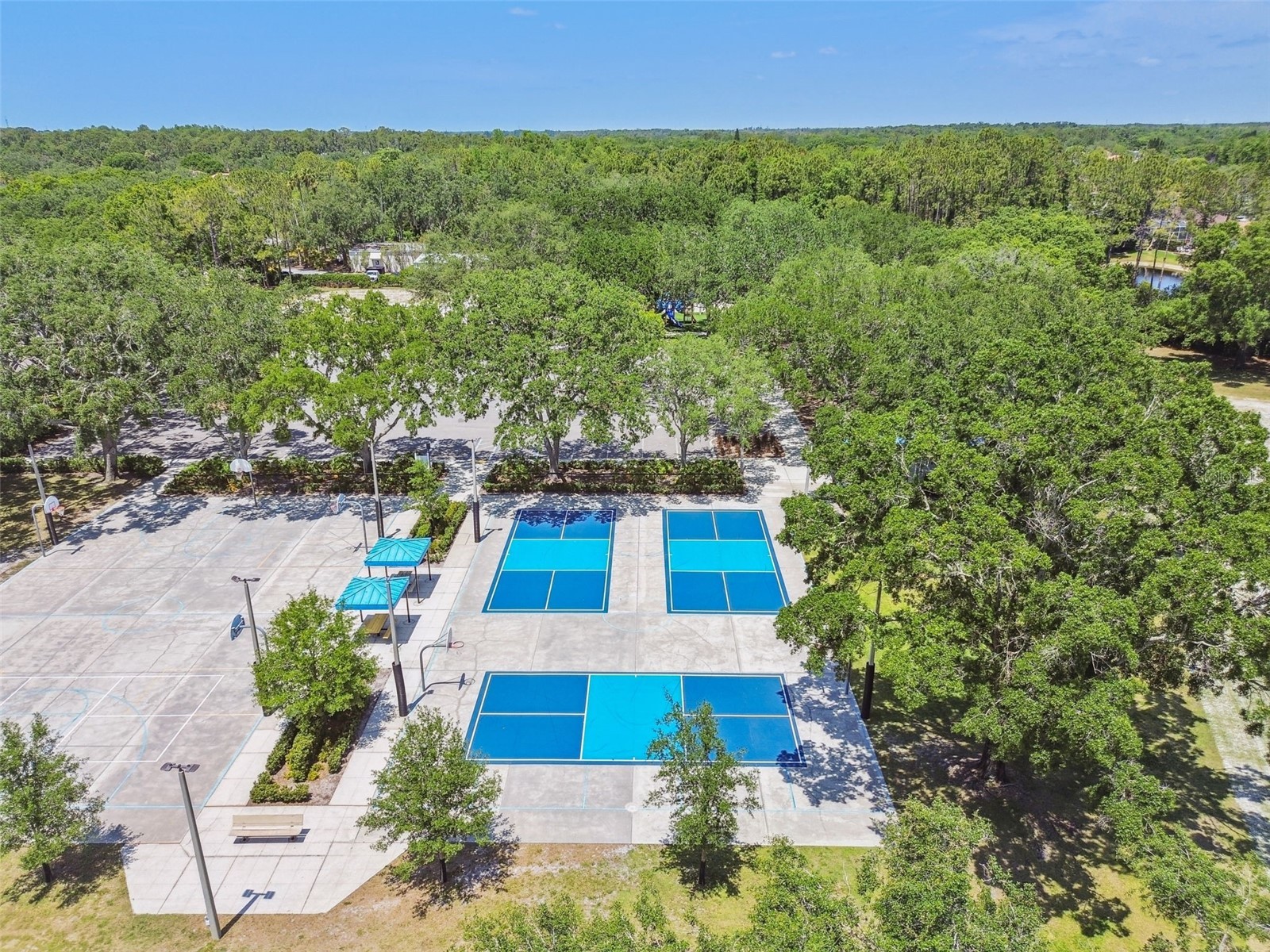 3025 Naughton Way Tarpon Springs FL 34688 TB8491830 image94