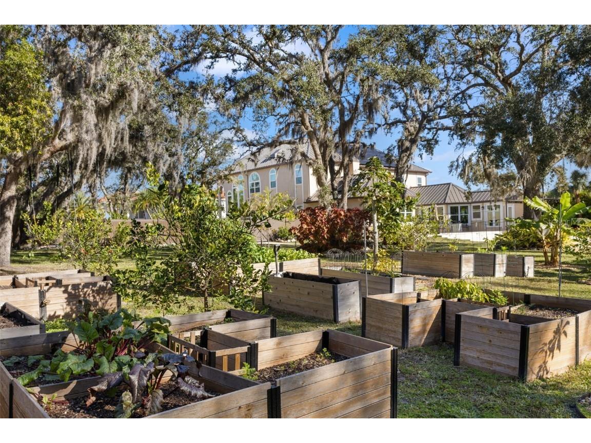 3025 Oakmont Drive Clearwater FL 33761 TB8404499 image50