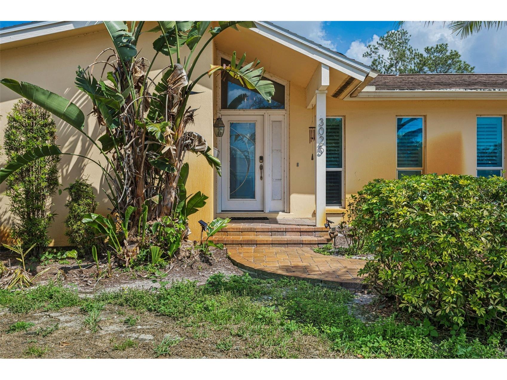 3025 Samara Drive Tampa FL 33618 TB8485204 image3