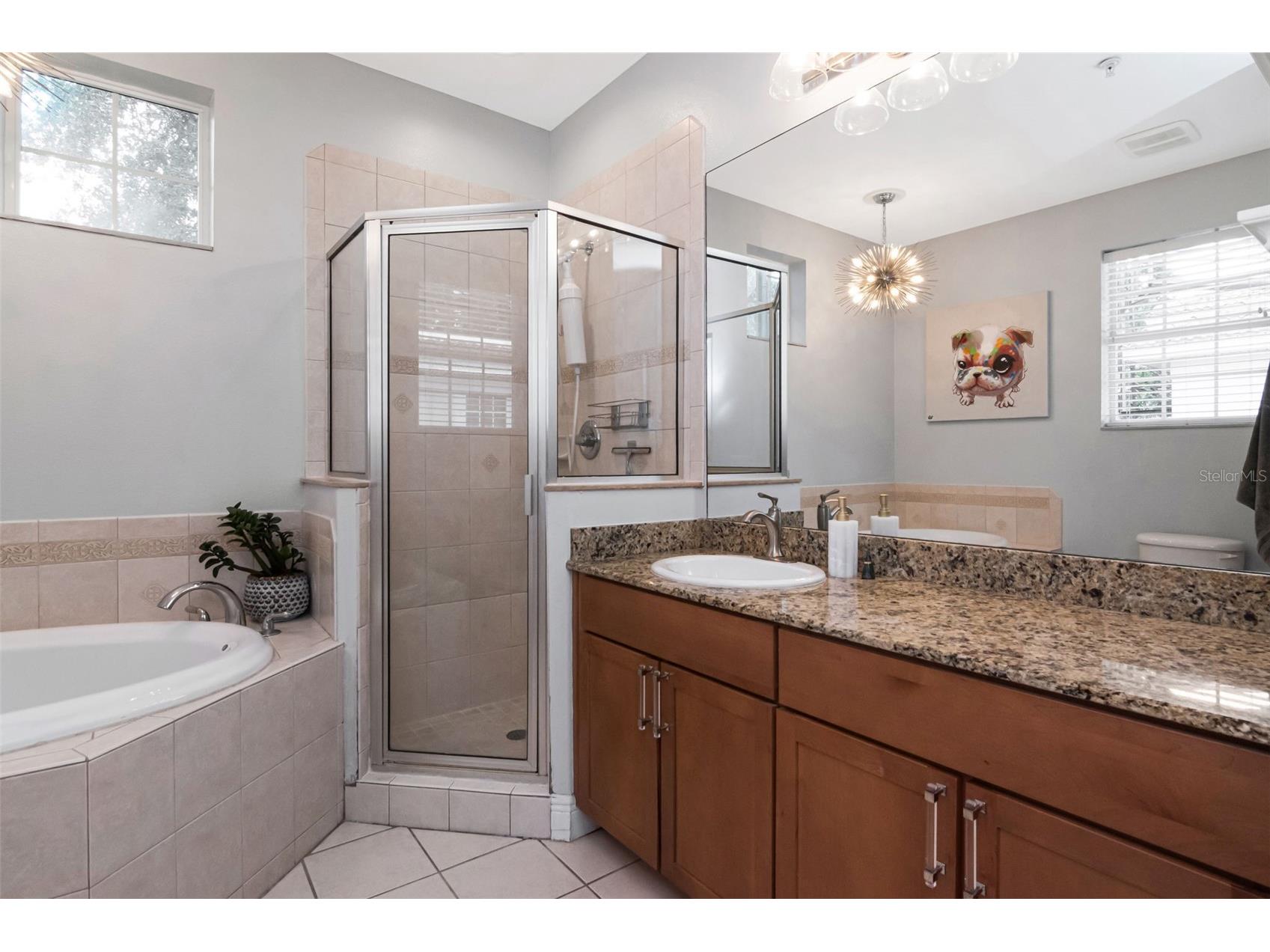 3025 W Grovewood Court #3 Tampa FL 33629 TB8519192 image32