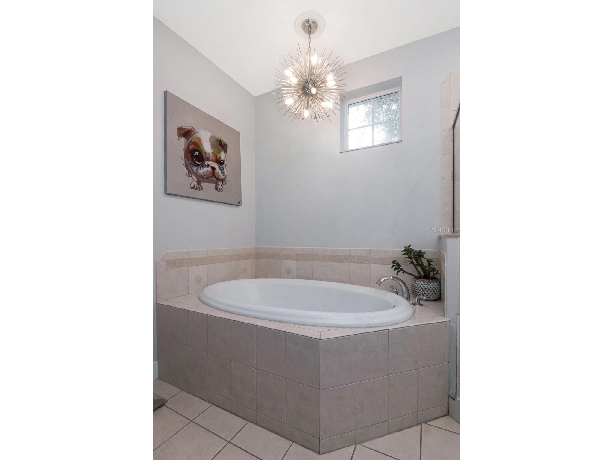 3025 W Grovewood Court #3 Tampa FL 33629 TB8519192 image33