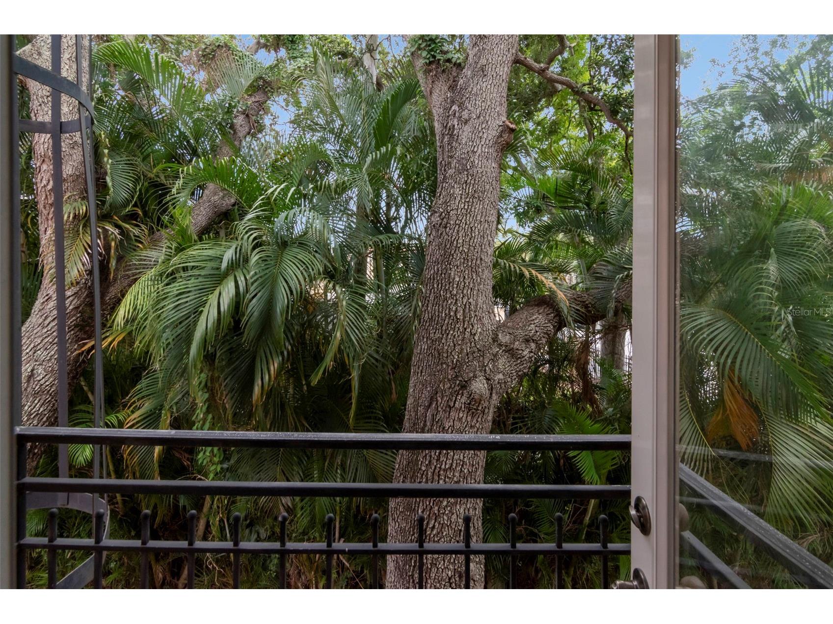 3025 W Grovewood Court #3 Tampa FL 33629 TB8519192 image37