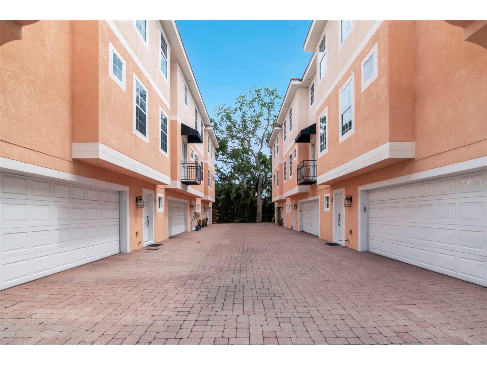 3025 W Grovewood Court #3 Tampa FL 33629 TB8519192 image4