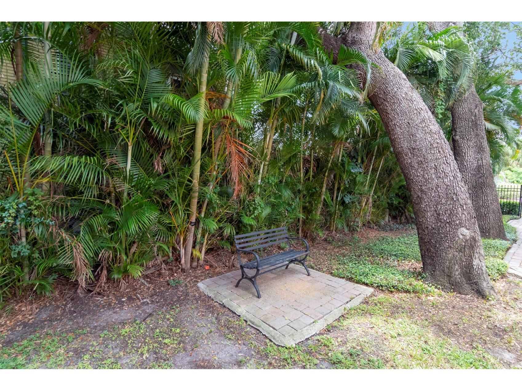 3025 W Grovewood Court #3 Tampa FL 33629 TB8519192 image50