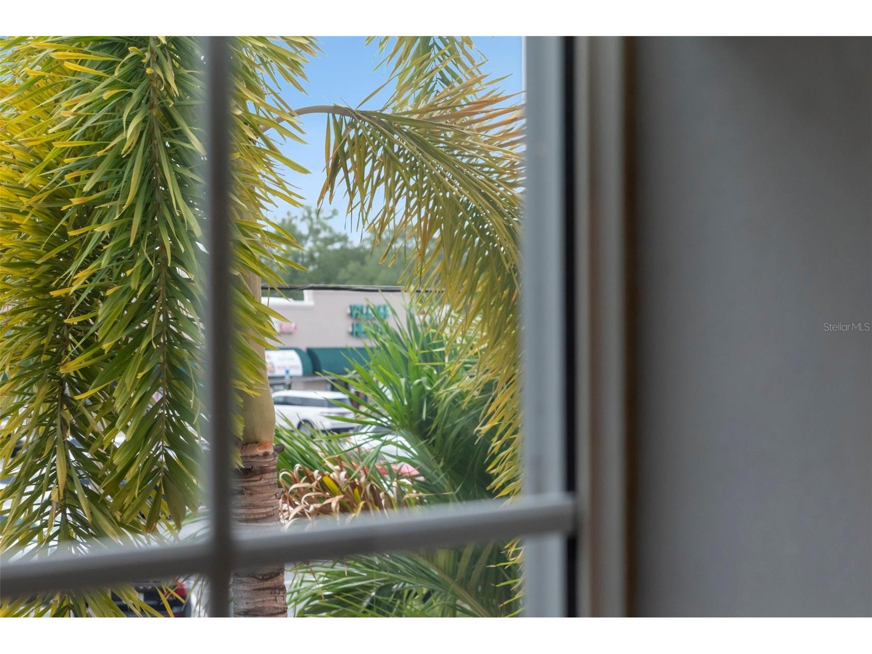 3025 W Grovewood Court #3 Tampa FL 33629 TB8519192 image53