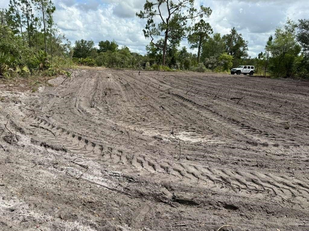 3025 W Metuchen Road Avon Park FL 33825 O6371654 image2