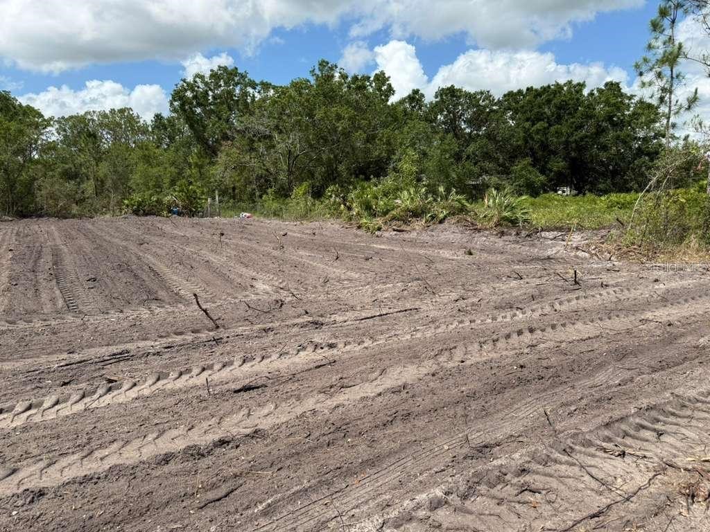 3025 W Metuchen Road Avon Park FL 33825 O6371654 image3