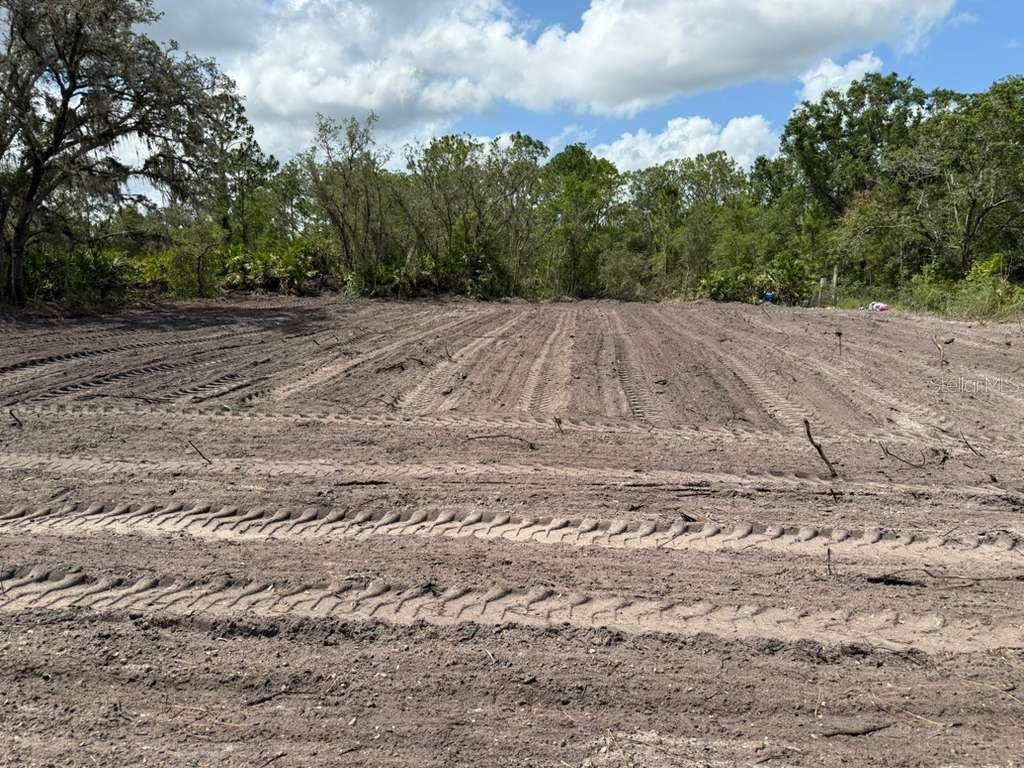 3025 W Metuchen Road Avon Park FL 33825 O6371654 image4