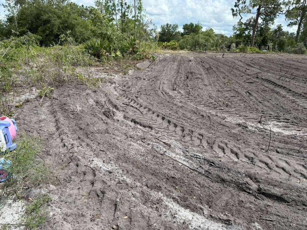 3025 W Metuchen Road Avon Park FL 33825 O6371654 image5