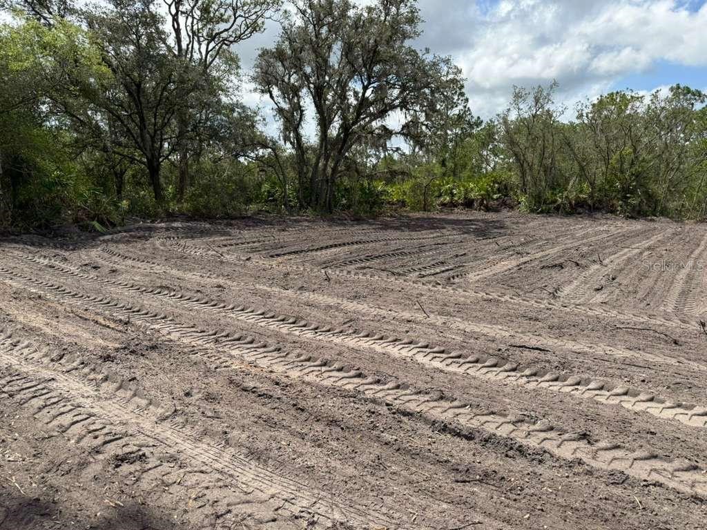 3025 W Metuchen Road Avon Park FL 33825 O6371654 image6