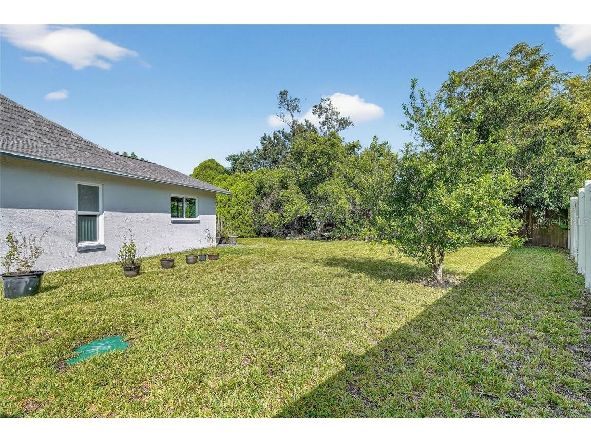 3025 Whitewood Avenue Spring Hill FL 34609 O6345948 image49