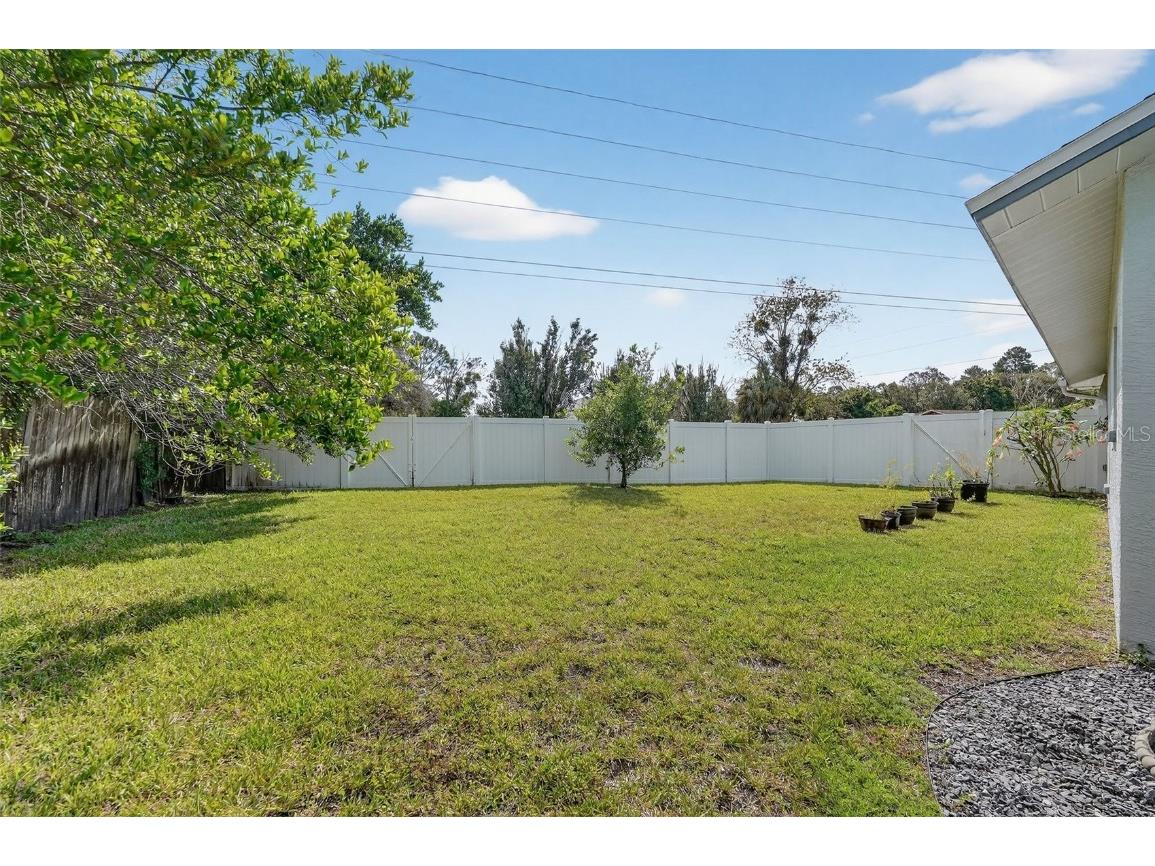 3025 Whitewood Avenue Spring Hill FL 34609 O6345948 image50