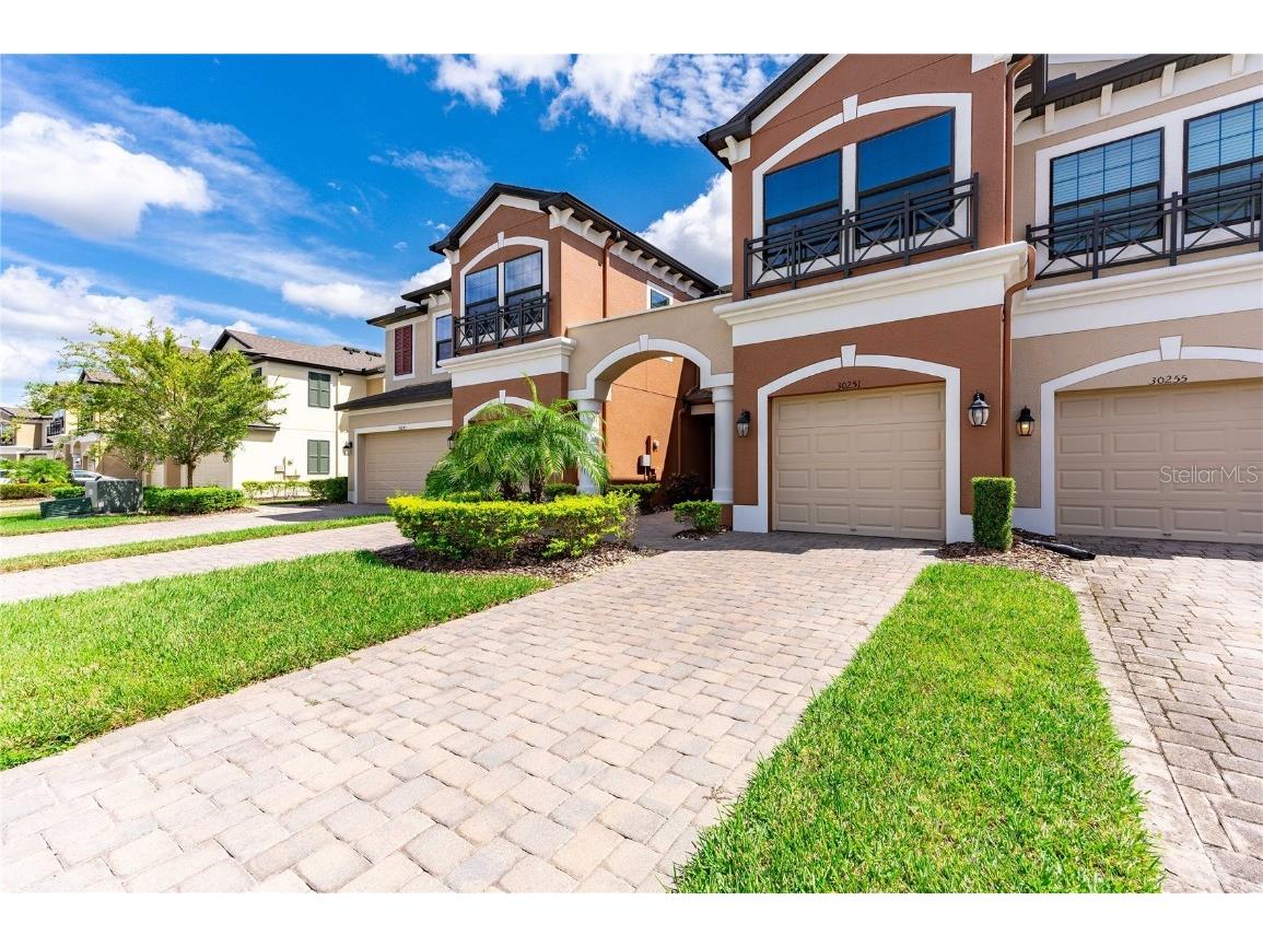 30251 Southwell Lane Wesley Chapel FL 33543 T3476771 image1