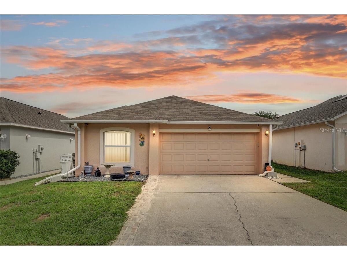 30257 Birdhouse Drive Wesley Chapel FL 33545 L4962569 image1