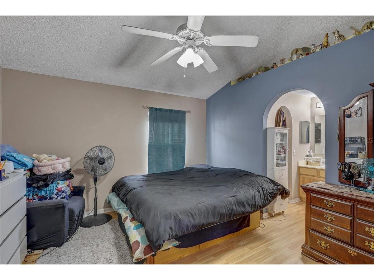 30257 Birdhouse Drive Wesley Chapel FL 33545 L4962569 image10