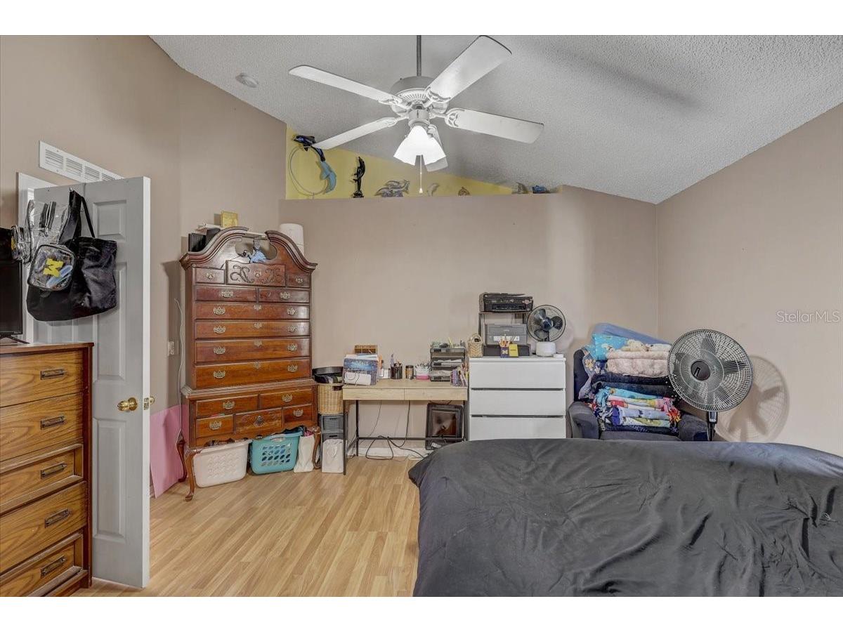 30257 Birdhouse Drive Wesley Chapel FL 33545 L4962569 image11