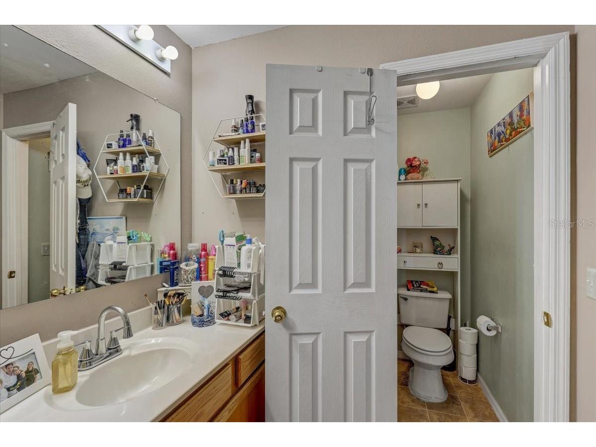 30257 Birdhouse Drive Wesley Chapel FL 33545 L4962569 image12