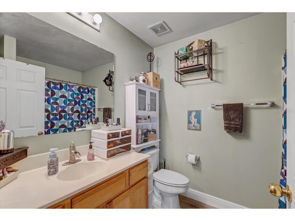 30257 Birdhouse Drive Wesley Chapel FL 33545 L4962569 image16