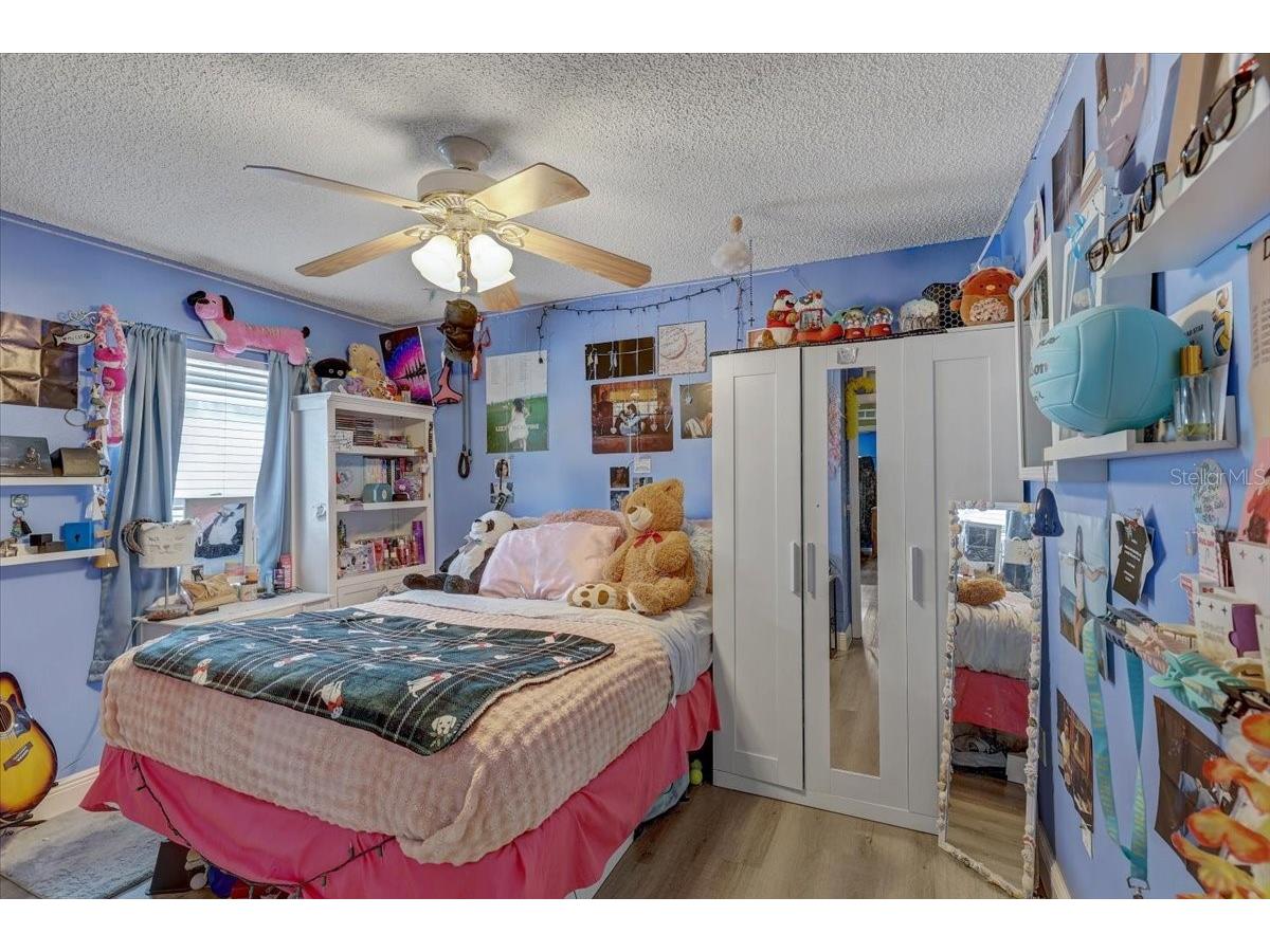 30257 Birdhouse Drive Wesley Chapel FL 33545 L4962569 image17