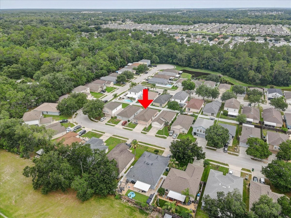 30257 Birdhouse Drive Wesley Chapel FL 33545 L4962569 image21