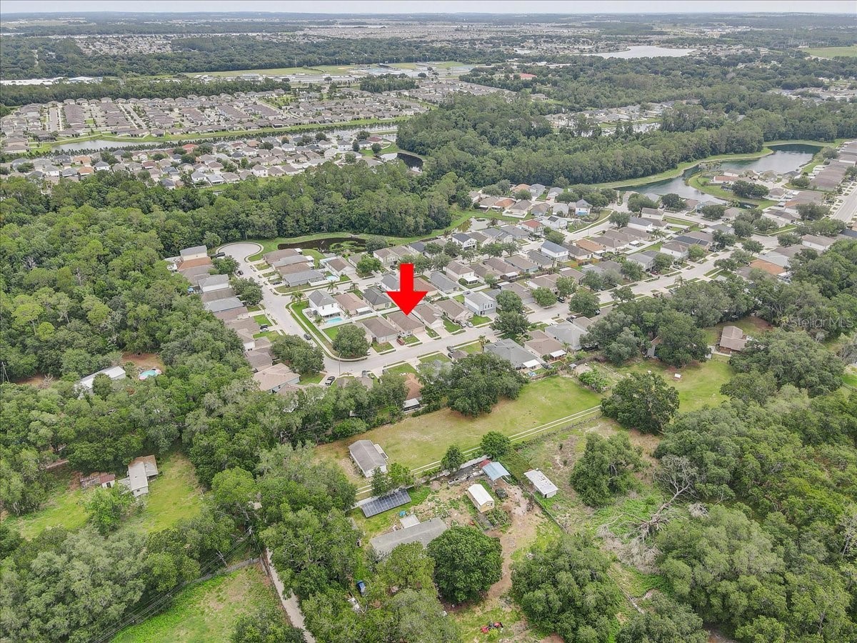 30257 Birdhouse Drive Wesley Chapel FL 33545 L4962569 image22