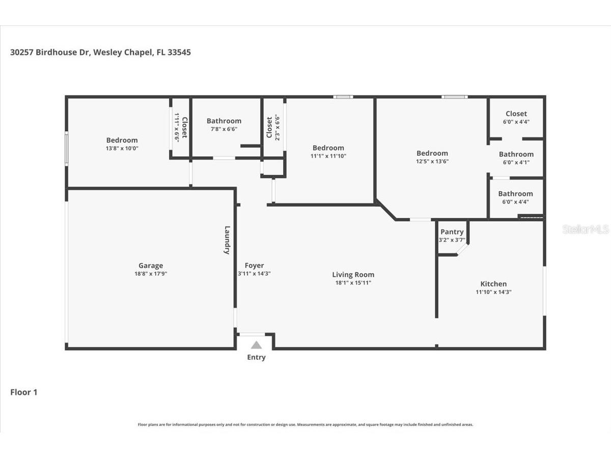 30257 Birdhouse Drive Wesley Chapel FL 33545 L4962569 image23