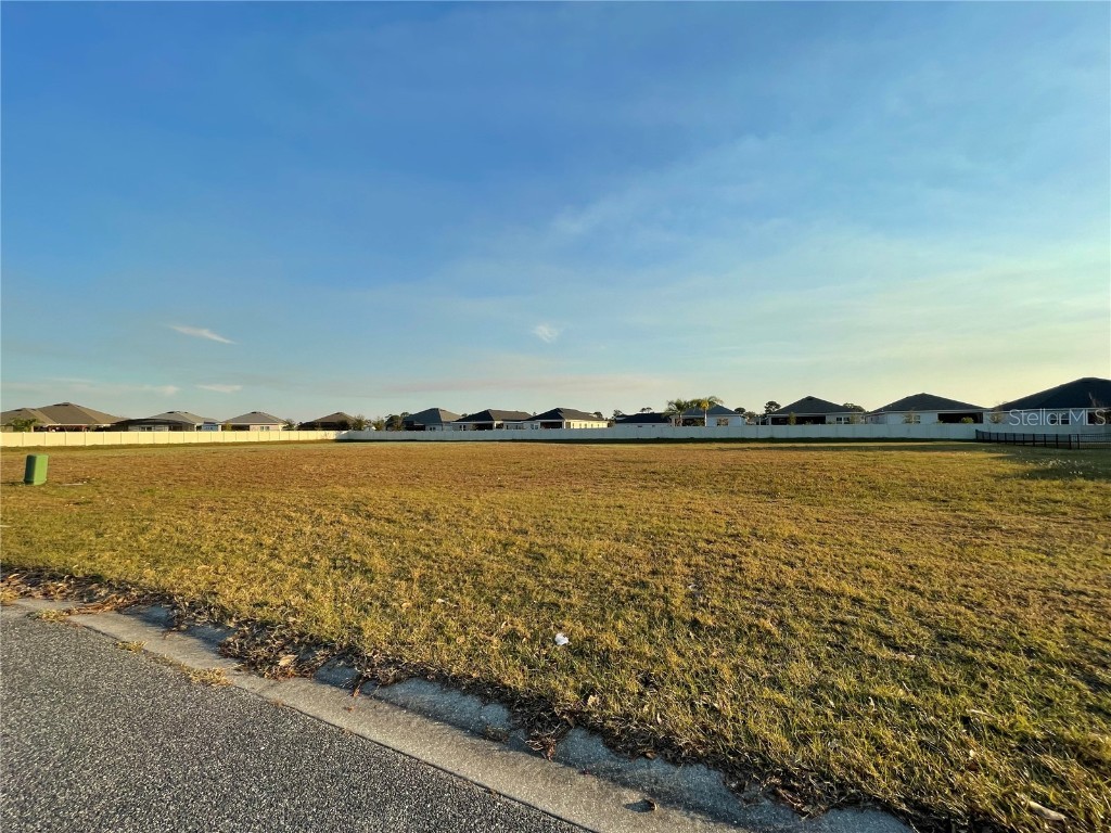 3026 Castelli Boulevard Mount Dora FL 32757 OM672183 image1