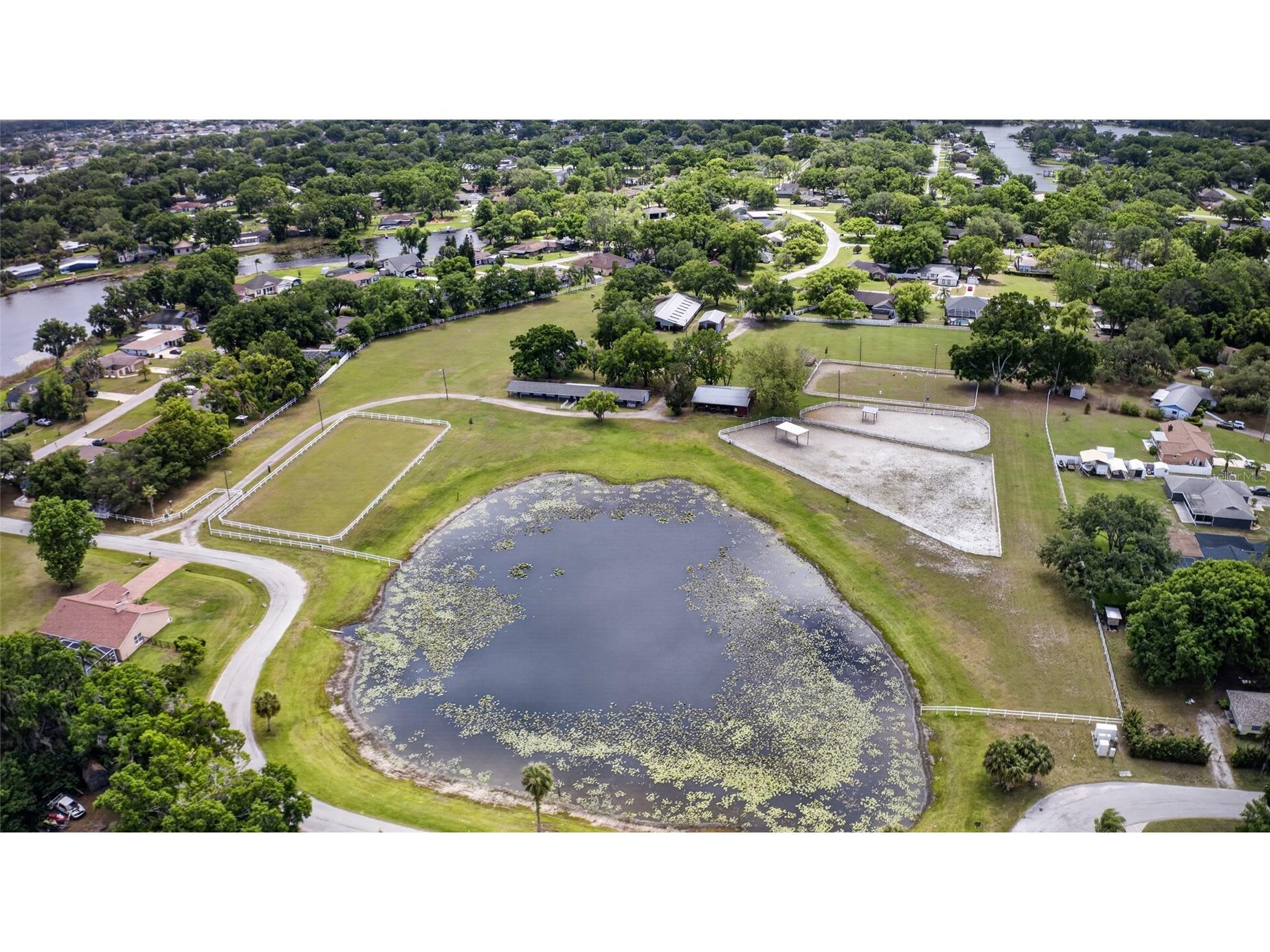 3026 Lake Padgett Drive Land O Lakes FL 34639 - LAKE SAXON TB8499186 image71