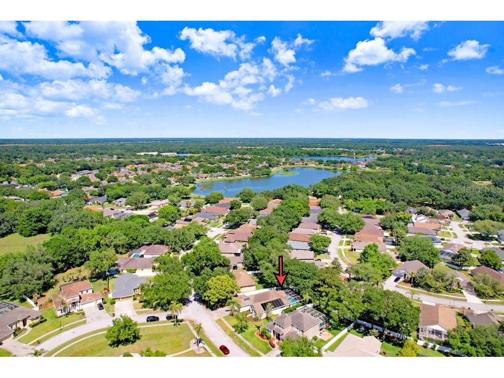 3026 Partridge Point Trail Valrico FL 33594 TB8498701 image39