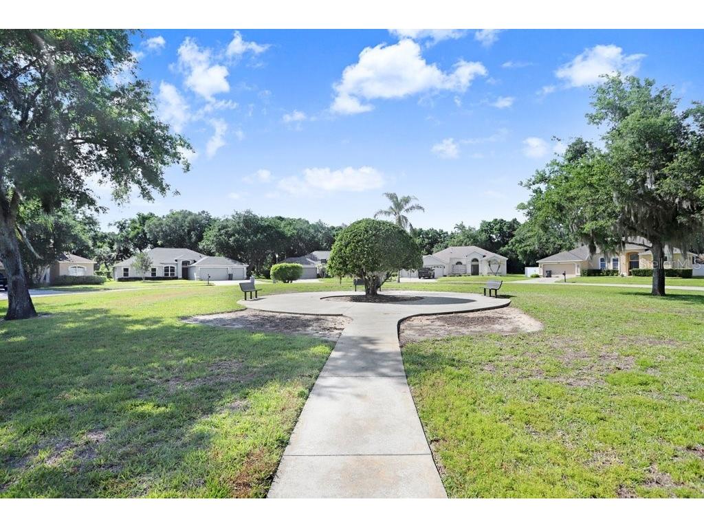 3026 Partridge Point Trail Valrico FL 33594 TB8498701 image43