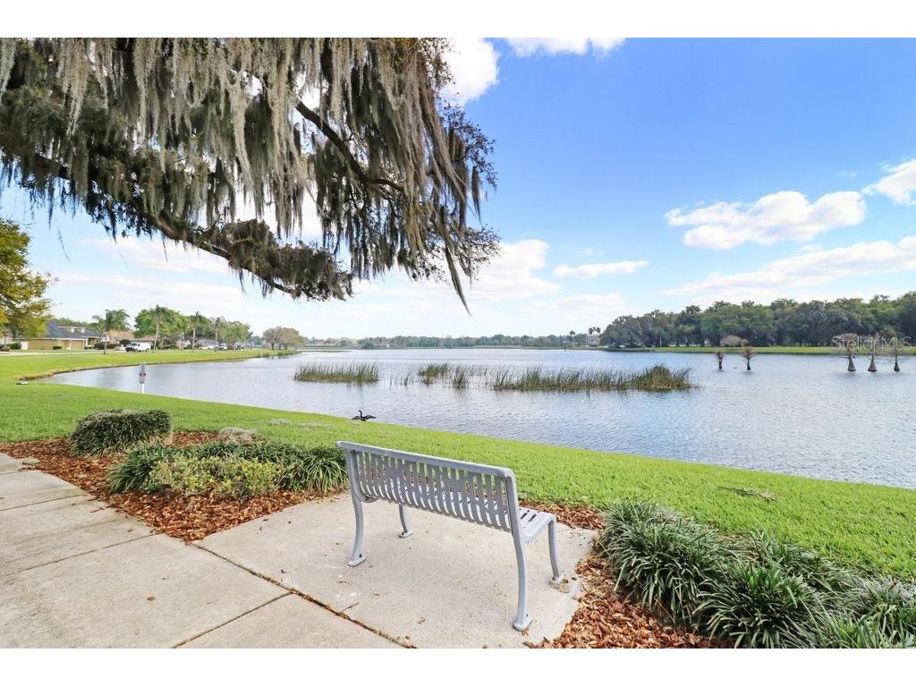 3026 Partridge Point Trail Valrico FL 33594 TB8498701 image48
